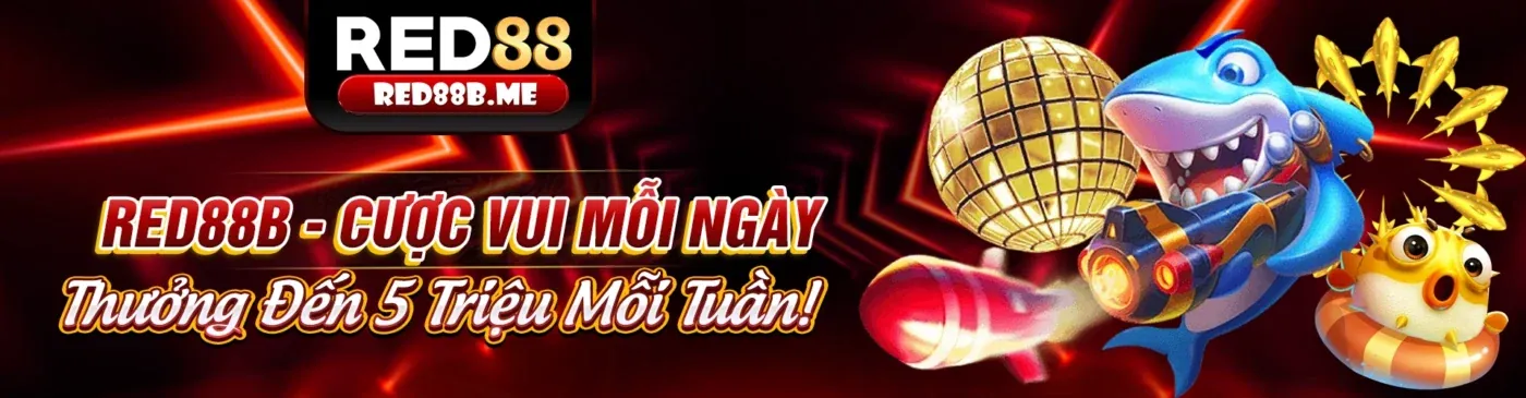 Bảo mật cá cược và bảo vệ người chơi tại K8CC Đăng Nhập